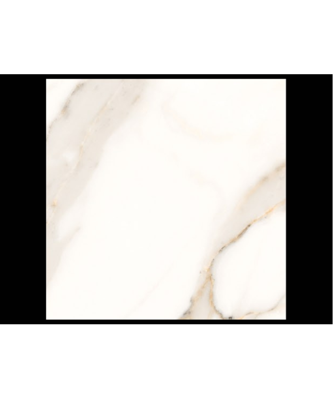 12-x-24-cava-bianco-glossy (2)