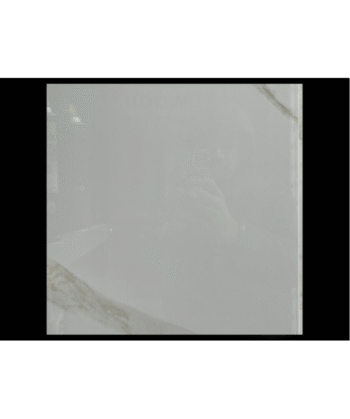 24" x 24" SEGWAY SATVARIO