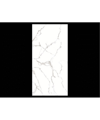 24" x 48" VENUS BIANCO