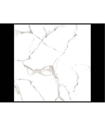 24" x 24" VENUS BIANCO