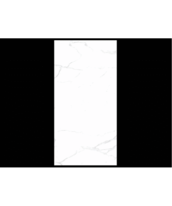 24" x 48" ALASKA WHITE