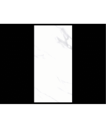 24" x 48" CASA SATVARIO