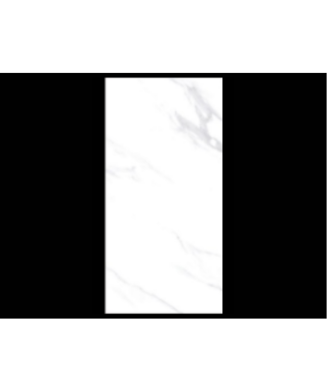 12-x-24-cava-bianco-glossy (6)