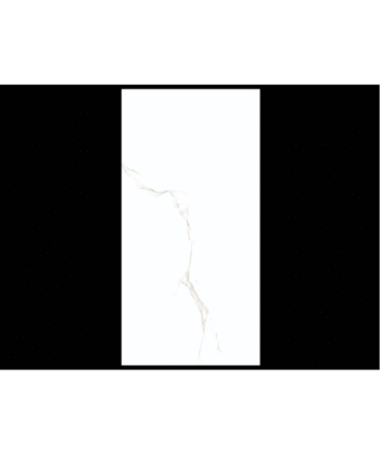 24" x 48" PREMIUM MOTION