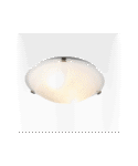 Bulb Ceiling Light