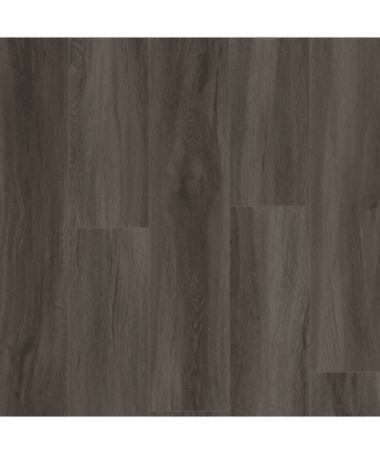 (FOREST HILL) 6mm Falcon Vinyl