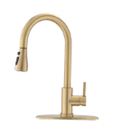 Aqua Gold Kitchen Faucet