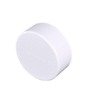 PVC 4" CAP