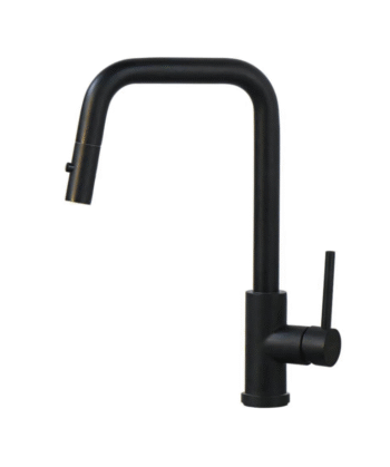 World Black Faucet
