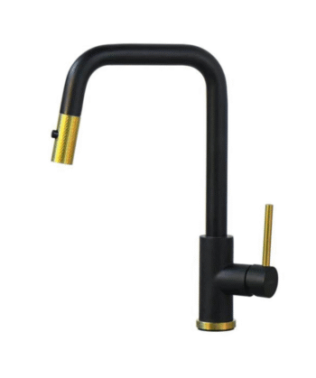 World Gold & Black Faucet